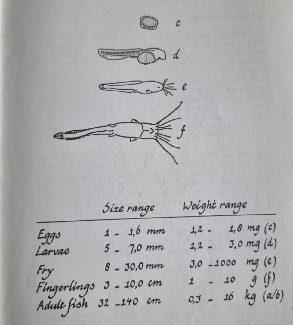 Fish Inputs