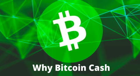 Why I'm Buying a Huge Chunk of Bitcoin Cash?