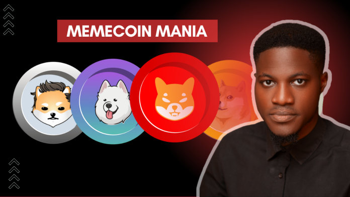 How To Invest In Memecoins