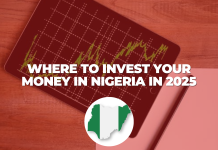 7 Asset Classes to Invest in Nigeria in 2025: Insights from Nairametrics TV 7 Asset Classes to Invest in Nigeria in 2025: Insights from Nairametrics TV