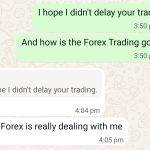 You Need Proper Support, System & Guideance To Succeed in Forex