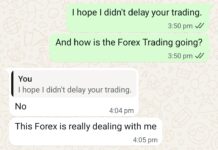 You Need Proper Support, System & Guideance To Succeed in Forex