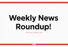 Weekly Roundup: Trading, Investing & Online Business – October 25, 2025