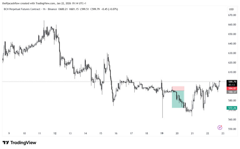 Profitable BCHUSD Short Trade