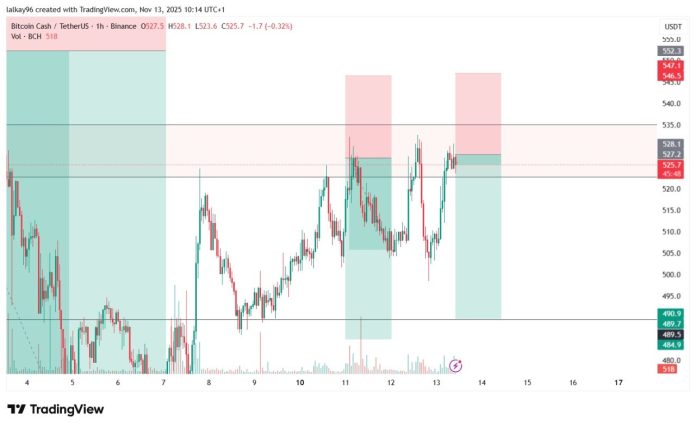 IMG_20251113_104440_506 BCH Sell Setup