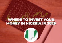 7 Asset Classes to Invest in Nigeria in 2025: Insights from Nairametrics TV 7-asset-classes-to-invest-in-nigeria-in-2025-insights-from-nairametrics-tv