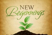 9jacashflow Revamped: A Journey into Crypto, Forex, and Online Business 9jacashflow revamped: new beginning
