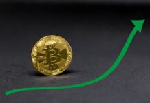 How To Carryout Fundamental Analysis On A Cryptocurrency Project How To Carryout Fundamental Analysis On A Cryptocurrency Project