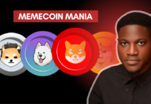 How to Invest in Meme coins the Smart Way How to invest in memecoins