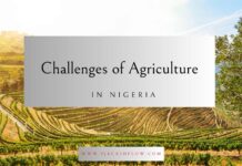 The Challenges of Agricultural Investment in Nigeria Agriculture Investment