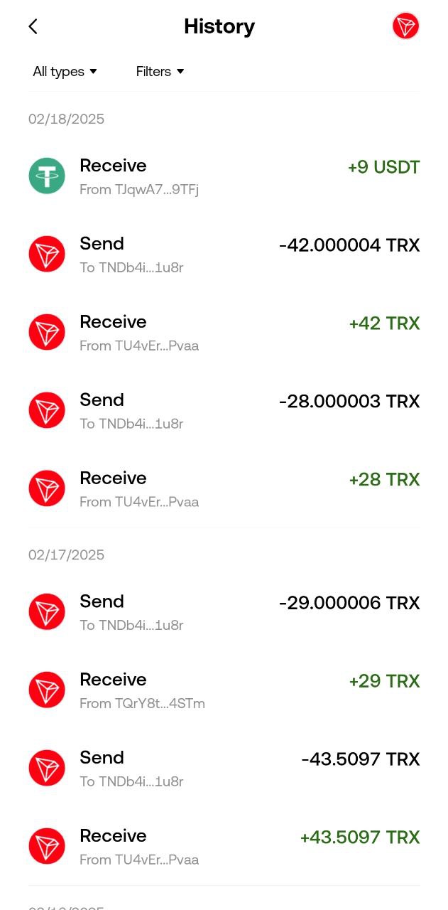 Scam Passphrase Transaction History 4