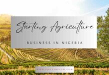 What You Must Know About Starting A Farming or Agriculture Business in Nigeria Starting a farm or agriculture business in Nigeria