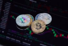 Why I Think The 2025 Bitcoin Bull Run Will Be Over Soon 2025 Bitcoin Bull Run